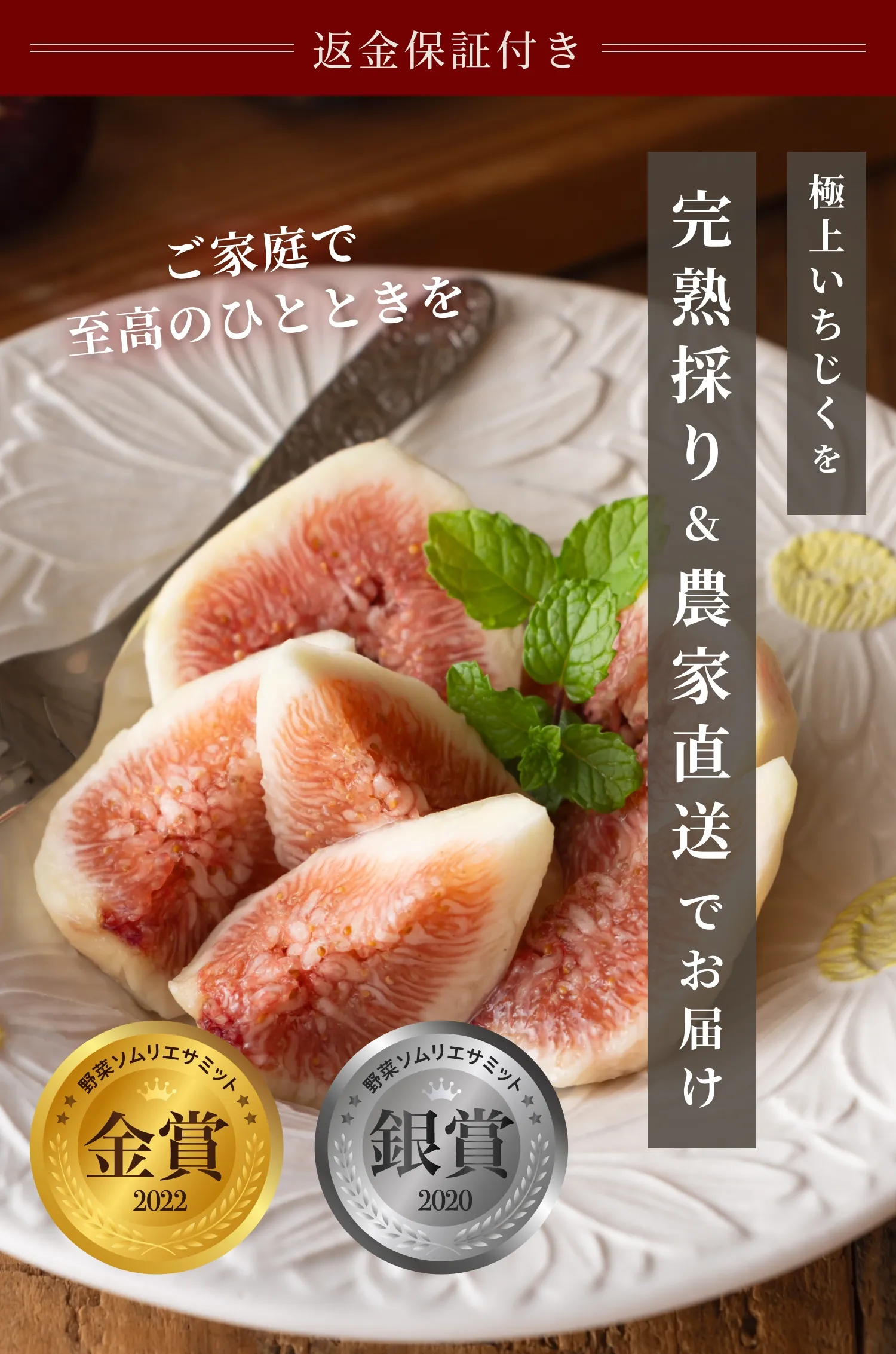 マース　いちじく 朝採り完熟無花果約２kg入　農家直送！ 2024年 朝採り完熟いちじく「しあわせ無花果」直売スタート